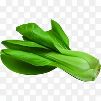 新鲜蔬菜水果宣传画册-空若网 新鲜蔬菜水果宣传画册-空若网