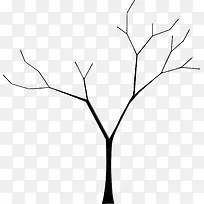 ����֦-������