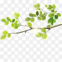 手绘清新阳光树枝-空若网 手绘清新阳光树枝-空若网