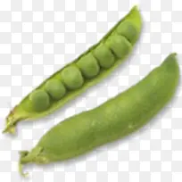 维生素丰富!蔬菜图标-空若网 维生素丰富!蔬菜图标-空若网