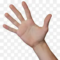 男士手掌-空若网 男士手掌-空若网