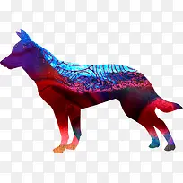 2018新年多彩小狗-空若网 2018新年多彩小狗-空若网