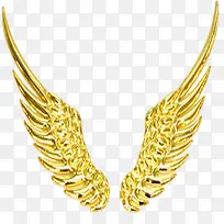 金色鸟翅膀-空若网 金色鸟翅膀-空若网