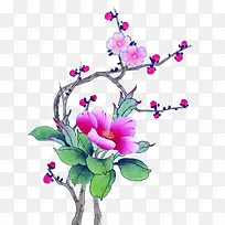 ˮ��÷���������-������