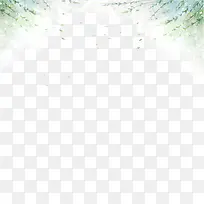 ��֦�߿�-������