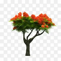 花树-空若网 花树-空若网