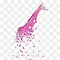 动物-空若网 动物-空若网