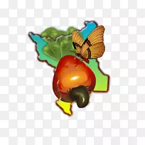 m¡£ºûµûÀ¥³æ´«·ÛÕßʳÎïʯÁñ-¿ÕÈôÍø m¡£ºûµûÀ¥³æ´«·ÛÕßʳÎïʯÁñ-¿ÕÈôÍø