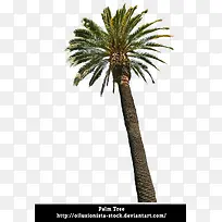 �㽶������-������