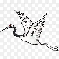 中国风手绘千顶鹤插画-空若网 中国风手绘千顶鹤插画-空若网