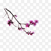 红色花朵树枝褐色树枝-空若网 红色花朵树枝褐色树枝-空若网