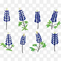 ��ɫ޹�²�-������