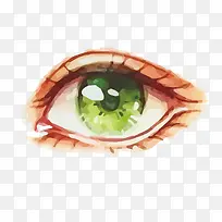 矢量眼睛-空若网 矢量眼睛-空若网