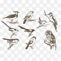 �ֻ���-������