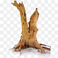 黄色文物-空若网 黄色文物-空若网