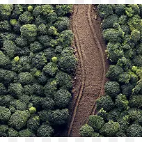 �߲�����������·-������