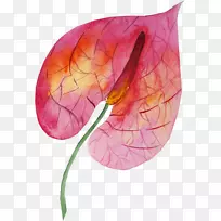 Ë®²Ê»-´ó±¬Õ¨ÀíÂÛ-¿ÕÈôÍø Ë®²Ê»-´ó±¬Õ¨ÀíÂÛ-¿ÕÈôÍø