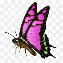 ����-������