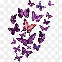 矢量手绘紫色蝴蝶-空若网 矢量手绘紫色蝴蝶-空若网