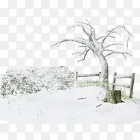 白雪树枝树桩-空若网 白雪树枝树桩-空若网