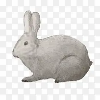 �ֻ�����-������