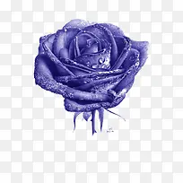 ��õ��-������