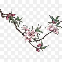 手绘桃花大树美景树枝-空若网 手绘桃花大树美景树枝-空若网