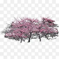 唯美春日桃花大树-空若网 唯美春日桃花大树-空若网