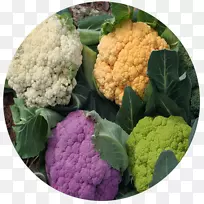 花椰菜十字花科蔬菜花椰菜-空若网 花椰菜十字花科蔬菜花椰菜-空若网