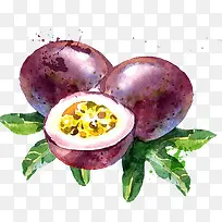 百香果卡通水果-空若网 百香果卡通水果-空若网