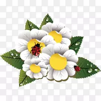 摄影素描-空若网 摄影素描-空若网