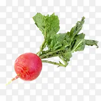 红萝卜蔬菜-空若网 红萝卜蔬菜-空若网