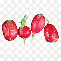 植物蔬菜-空若网 植物蔬菜-空若网