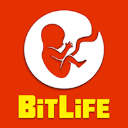 BitLife - Life Simulator-