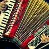 Accordion 10-
