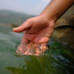 Take a Moment PREMIUM-