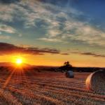 Community Showcase Rural Landscapes-