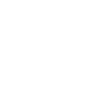 Ion Player-