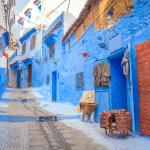 Street Views PREMIUM-